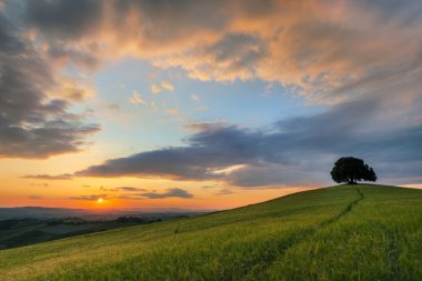 Vibrant sunset over Tuscany clipart