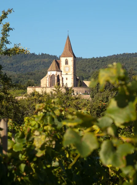 Виноградная деревенская церковь Хунавира — стоковое фото