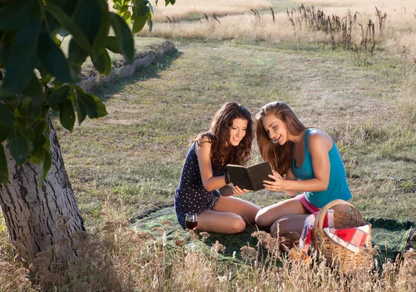 Picnic and good book — Stock Photo, Image