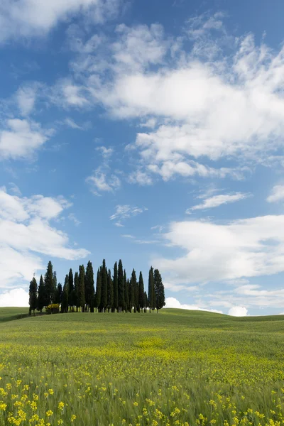 Día soleado en Toscana — Foto de Stock