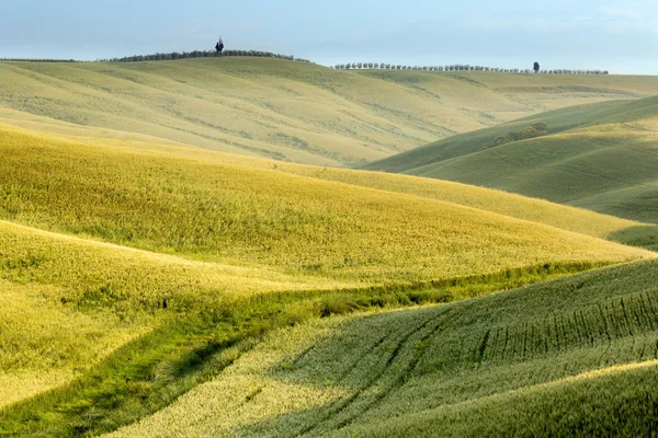 Grüne Hügel der Toskana — Stockfoto
