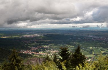 Alsace Vadisi