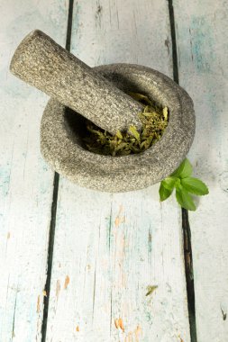 Stevia mortar and pestle clipart