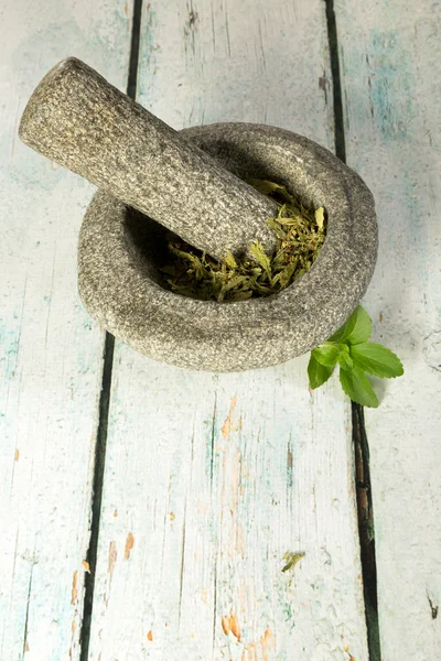 Stevia mortar and pestle — Stock Photo, Image