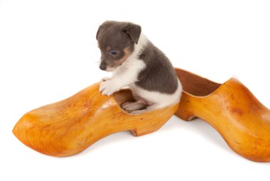 yavru bir tahta ayakkabı