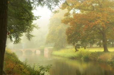 Castle bridge in the mist clipart