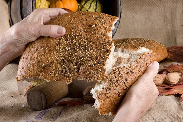 Sharing bread — Stock Photo, Image