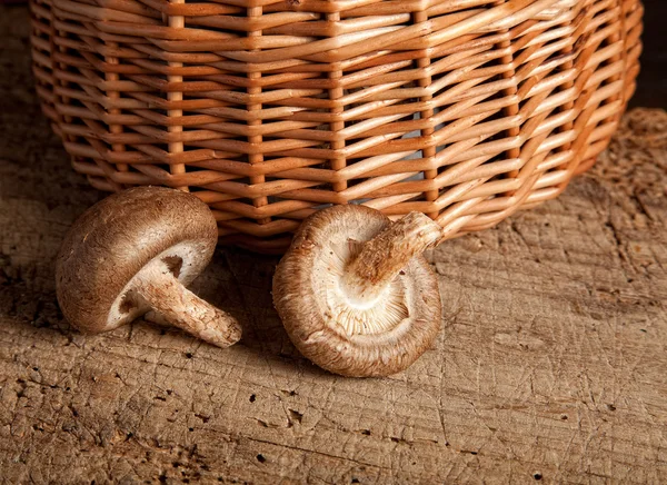 Basket and mushrooms — Stock Photo, Image