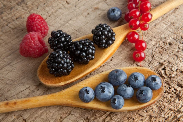 Spoos with berries — Stock Photo, Image