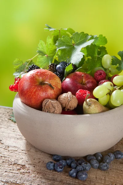 Podzimní mísa ovoce a vinnou révu — Stock fotografie
