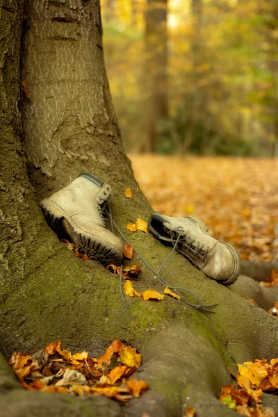 Zużyte buty jesienią — Zdjęcie stockowe