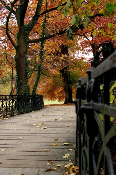 Осенний проход — стоковое фото