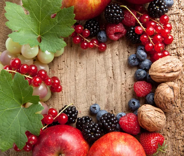 Frontera de frutas de acción de gracias — Foto de Stock