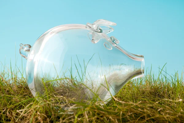 Empty piggy bank in grass — Stock Photo, Image