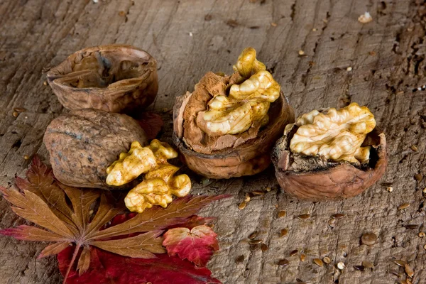 Nuts and leaves — Stock Photo, Image