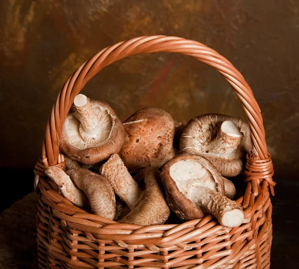 Mushrooms harvest — Stock Photo, Image