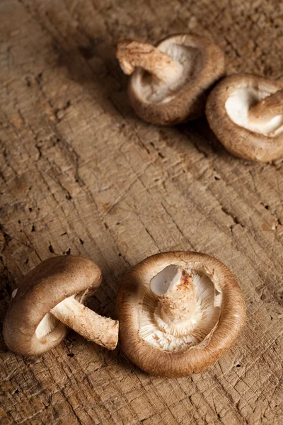 Mushrooms on a board — Stock Photo, Image