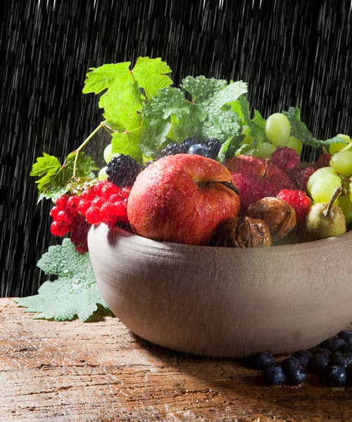Капли дождя на осенние фрукты — стоковое фото