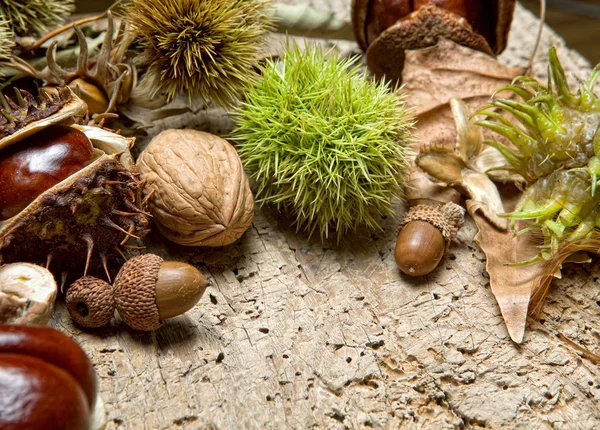 Nüsse und Blätter — Stockfoto