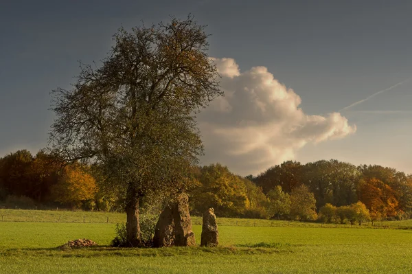 Menhirs in the fall — Stock Photo, Image