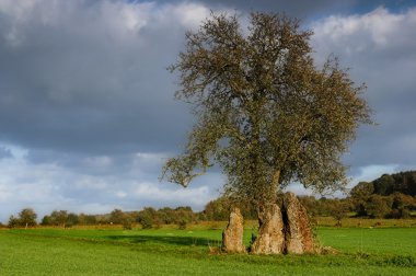 Menhir trio clipart