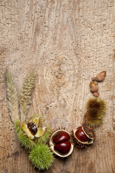 Chestnuts frame — Stock Photo, Image