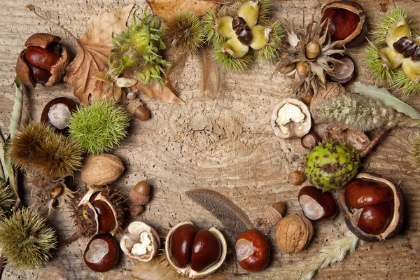 Autumn border with nuts — Stock Photo, Image