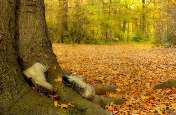 Worn sepatu bot di musim gugur — Stok Foto