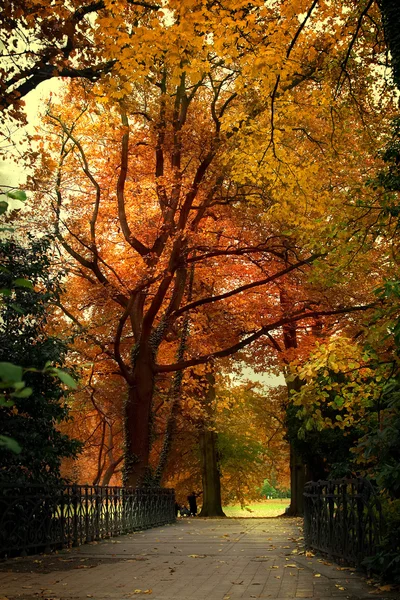 Autumn bridge — Stock Photo, Image