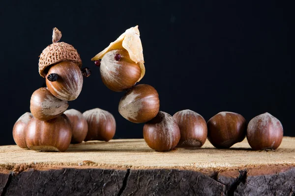 Love among acorns — Stock Photo, Image