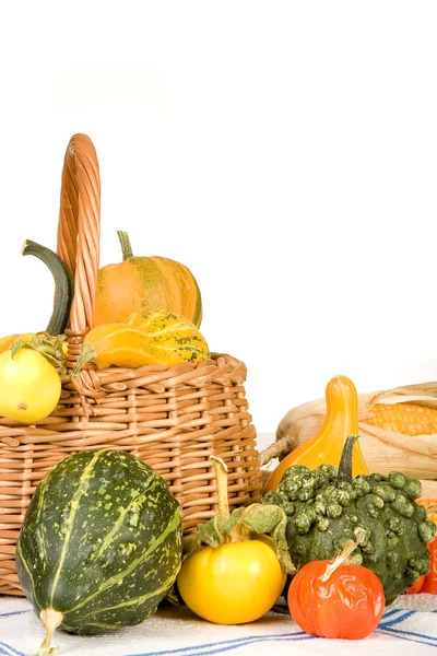 Gourd basket — Stock Photo, Image