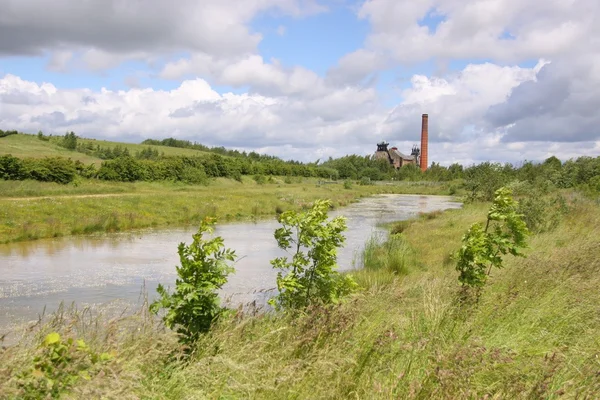 stock image Pleasley Pit Country Park