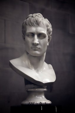 Napoleon Bust clipart