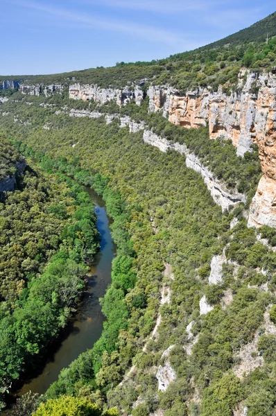 エブロ川の峡谷、ブルゴス （スペイン) — 图库照片
