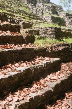 yaxchilan, chiapas (Meksika Sit Alanı)