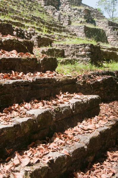 Archeologische site van yaxchilan, chiapas (mexico) — Stockfoto