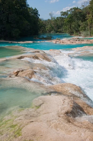 Agua Azul Waterfalls, Chiapas, Mexikó — Stock Fotó