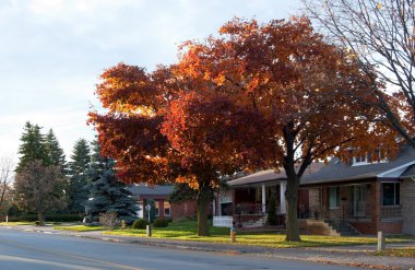 Toronto street clipart