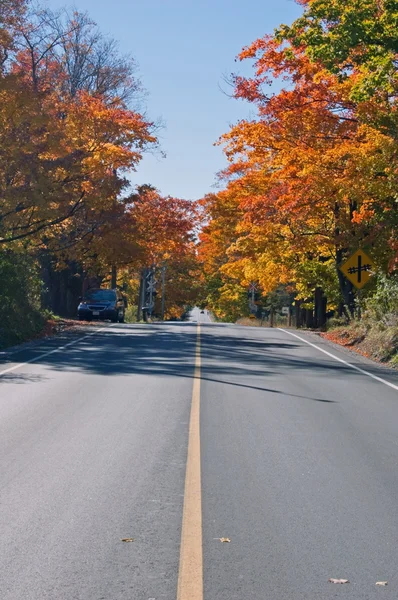 多彩秋天的树木 — 图库照片
