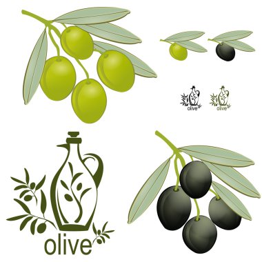 Vintage olive set clipart