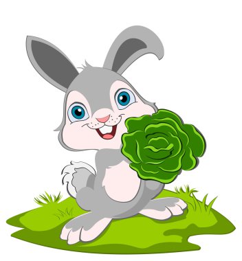 Bunny and cabbage clipart