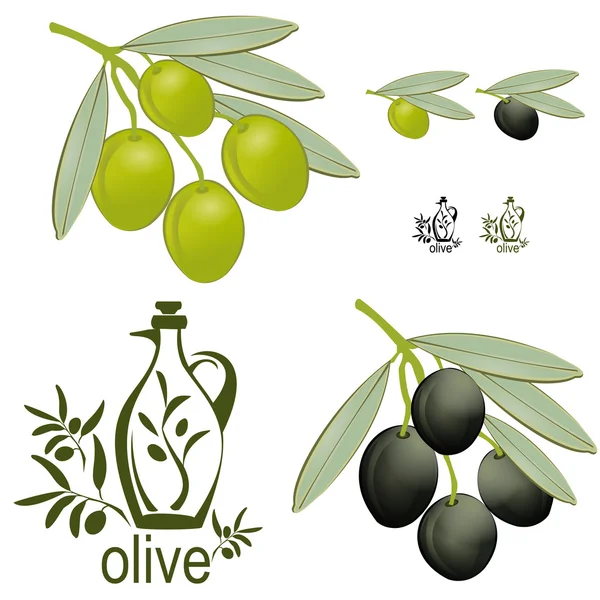 Zestaw Vintage oliwek — Wektor stockowy