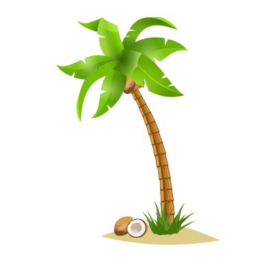 Palm tree and coconuts clipart
