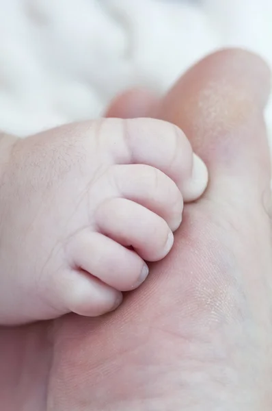 Newborn foot on the toes of his father — Stock Photo, Image