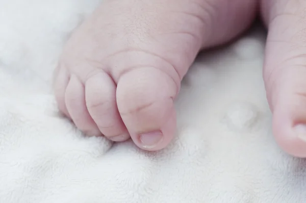Новорожденные ноги на мягком белом одеяле — стоковое фото