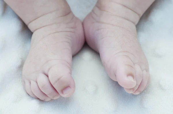 Ayrıntı yenidoğan ayakları üzerinde yumuşak beyaz battaniye — Stok fotoğraf