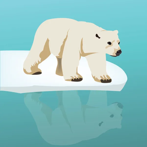Polar bear on ice — Stock Vector