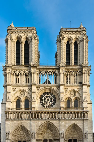 Fațada Notre Dame — Fotografie, imagine de stoc