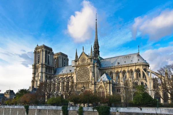 Notre Dame de París — Foto de Stock