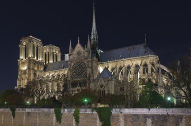 Notre dame of Paris at night clipart